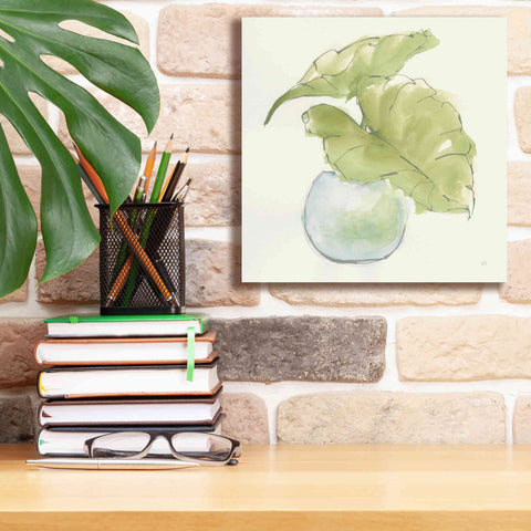 Image of 'Plant Big Leaf III' by Chris Paschke, Giclee Canvas Wall Art,12 x 12