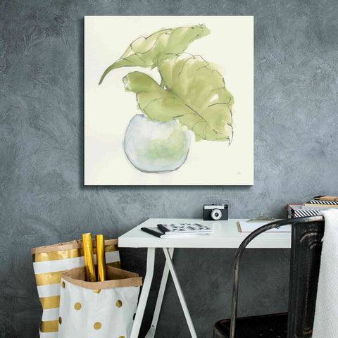 Image of 'Plant Big Leaf III' by Chris Paschke, Giclee Canvas Wall Art,26 x 26