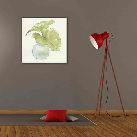 Image of 'Plant Big Leaf III' by Chris Paschke, Giclee Canvas Wall Art,26 x 26