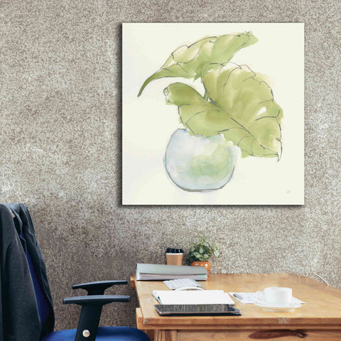 Image of 'Plant Big Leaf III' by Chris Paschke, Giclee Canvas Wall Art,37 x 37