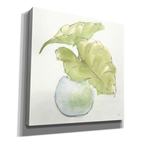 Image of 'Plant Big Leaf III' by Chris Paschke, Giclee Canvas Wall Art