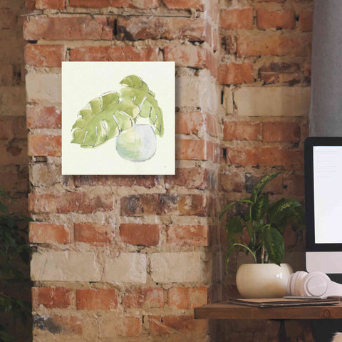 Image of 'Plant Big Leaf IV' by Chris Paschke, Giclee Canvas Wall Art,12 x 12