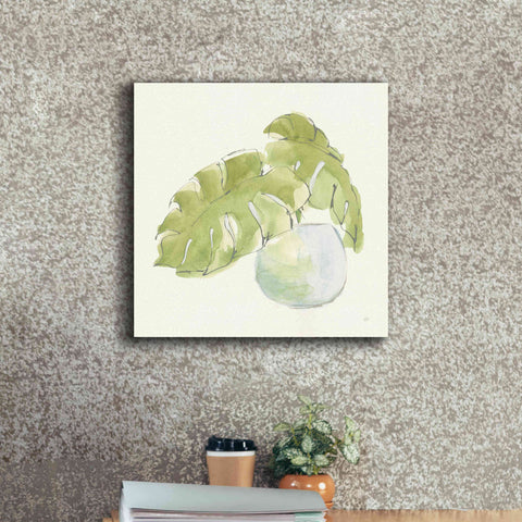 Image of 'Plant Big Leaf IV' by Chris Paschke, Giclee Canvas Wall Art,18 x 18