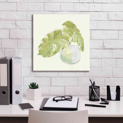 Image of 'Plant Big Leaf IV' by Chris Paschke, Giclee Canvas Wall Art,18 x 18