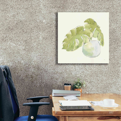 Image of 'Plant Big Leaf IV' by Chris Paschke, Giclee Canvas Wall Art,26 x 26