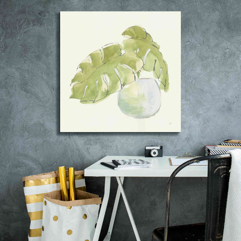 Image of 'Plant Big Leaf IV' by Chris Paschke, Giclee Canvas Wall Art,26 x 26