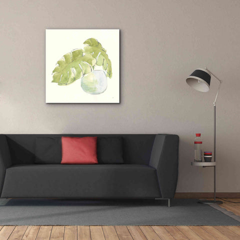 Image of 'Plant Big Leaf IV' by Chris Paschke, Giclee Canvas Wall Art,37 x 37