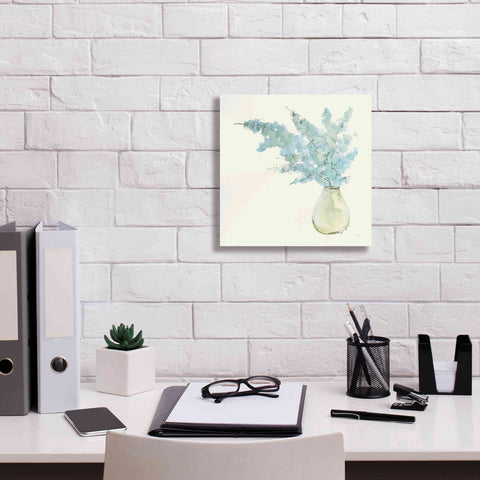 Image of 'Plant Eucalyptus I' by Chris Paschke, Giclee Canvas Wall Art,12 x 12