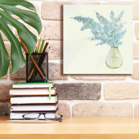 Image of 'Plant Eucalyptus I' by Chris Paschke, Giclee Canvas Wall Art,12 x 12