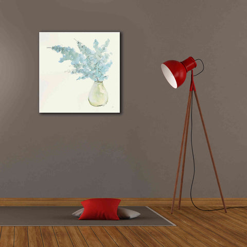 Image of 'Plant Eucalyptus I' by Chris Paschke, Giclee Canvas Wall Art,26 x 26