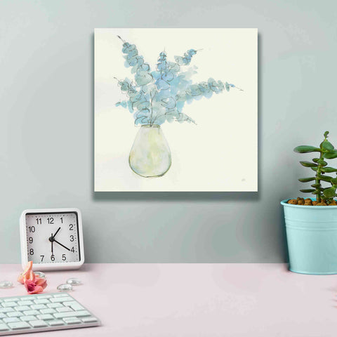 Image of 'Plant Eucalyptus II' by Chris Paschke, Giclee Canvas Wall Art,12 x 12