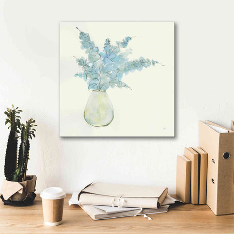 Image of 'Plant Eucalyptus II' by Chris Paschke, Giclee Canvas Wall Art,18 x 18