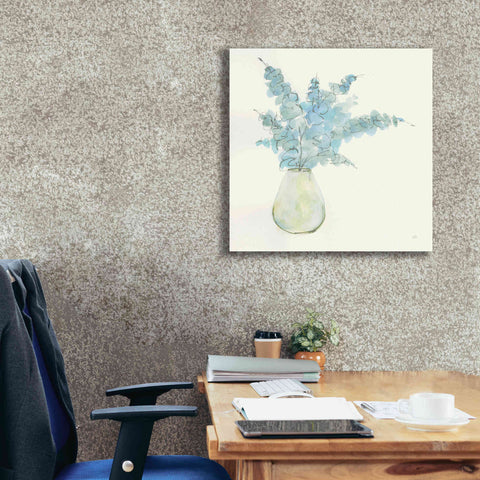 Image of 'Plant Eucalyptus II' by Chris Paschke, Giclee Canvas Wall Art,26 x 26