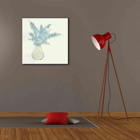 Image of 'Plant Eucalyptus II' by Chris Paschke, Giclee Canvas Wall Art,26 x 26