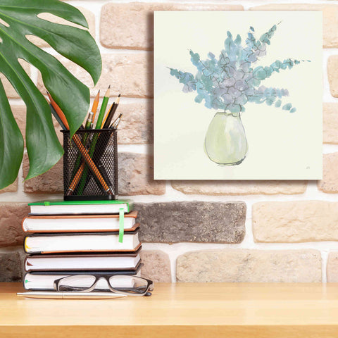 Image of 'Plant Eucalyptus IV' by Chris Paschke, Giclee Canvas Wall Art,12 x 12