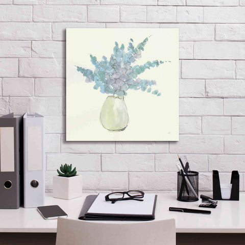 Image of 'Plant Eucalyptus IV' by Chris Paschke, Giclee Canvas Wall Art,18 x 18