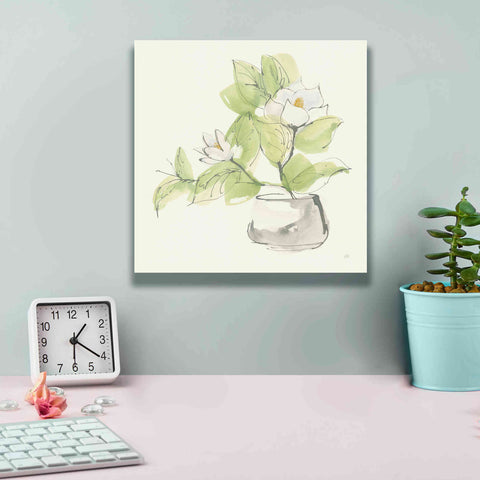 Image of 'Plant Magnolia I' by Chris Paschke, Giclee Canvas Wall Art,12 x 12