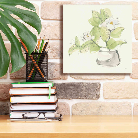 Image of 'Plant Magnolia I' by Chris Paschke, Giclee Canvas Wall Art,12 x 12