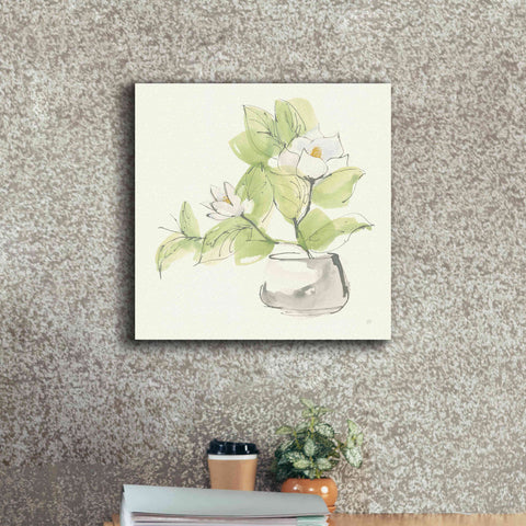 Image of 'Plant Magnolia I' by Chris Paschke, Giclee Canvas Wall Art,18 x 18