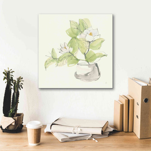 Image of 'Plant Magnolia I' by Chris Paschke, Giclee Canvas Wall Art,18 x 18