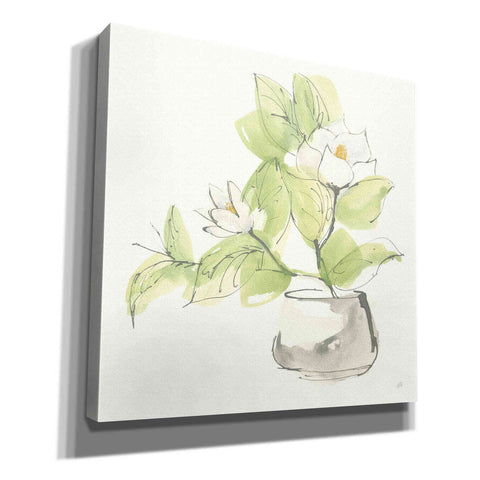 Image of 'Plant Magnolia I' by Chris Paschke, Giclee Canvas Wall Art