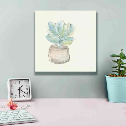 Image of 'Succulent I' by Chris Paschke, Giclee Canvas Wall Art,12 x 12