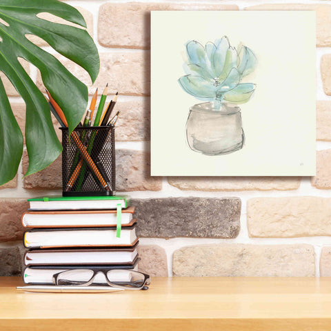 Image of 'Succulent I' by Chris Paschke, Giclee Canvas Wall Art,12 x 12