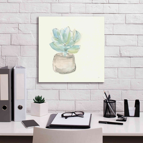 Image of 'Succulent I' by Chris Paschke, Giclee Canvas Wall Art,18 x 18