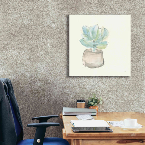 Image of 'Succulent I' by Chris Paschke, Giclee Canvas Wall Art,26 x 26