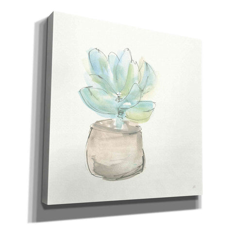 Image of 'Succulent I' by Chris Paschke, Giclee Canvas Wall Art