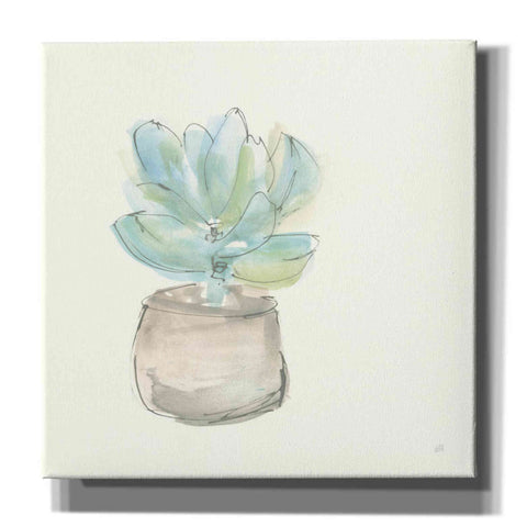 Image of 'Succulent I' by Chris Paschke, Giclee Canvas Wall Art