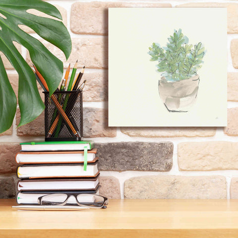 Image of 'Succulent II' by Chris Paschke, Giclee Canvas Wall Art,12 x 12