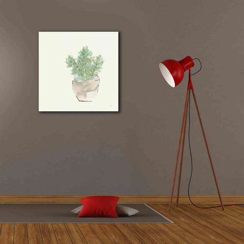 Image of 'Succulent II' by Chris Paschke, Giclee Canvas Wall Art,26 x 26