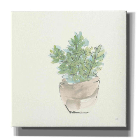 Image of 'Succulent II' by Chris Paschke, Giclee Canvas Wall Art