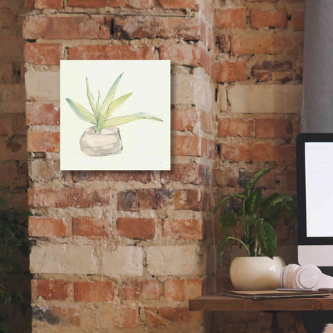 Image of 'Succulent III' by Chris Paschke, Giclee Canvas Wall Art,12 x 12