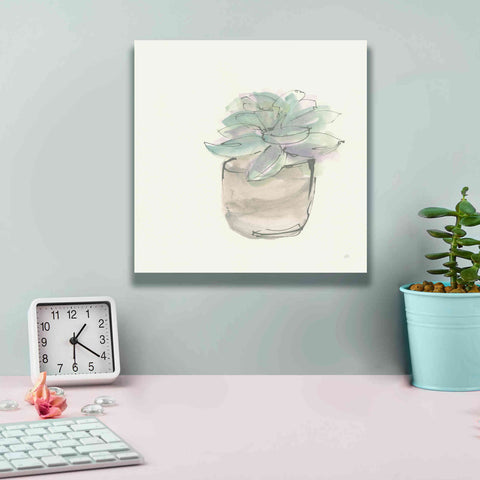 Image of 'Succulent IV' by Chris Paschke, Giclee Canvas Wall Art,12 x 12