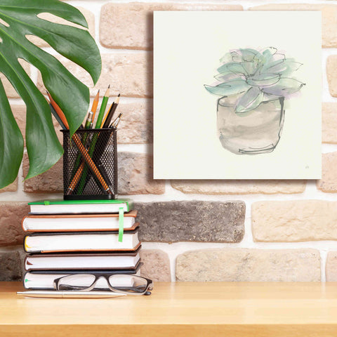 Image of 'Succulent IV' by Chris Paschke, Giclee Canvas Wall Art,12 x 12