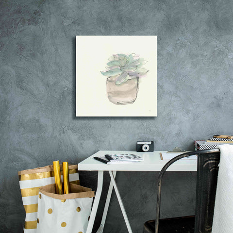 Image of 'Succulent IV' by Chris Paschke, Giclee Canvas Wall Art,18 x 18