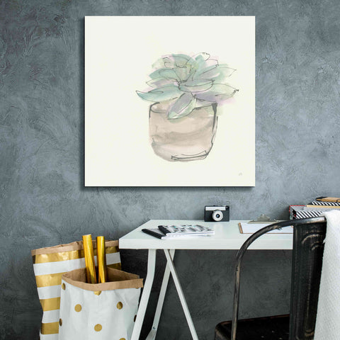 Image of 'Succulent IV' by Chris Paschke, Giclee Canvas Wall Art,26 x 26