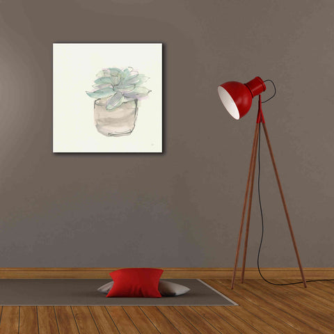 Image of 'Succulent IV' by Chris Paschke, Giclee Canvas Wall Art,26 x 26