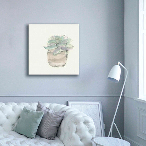 Image of 'Succulent IV' by Chris Paschke, Giclee Canvas Wall Art,37 x 37