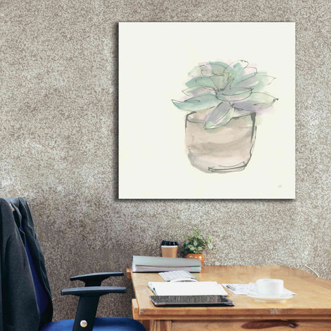 Image of 'Succulent IV' by Chris Paschke, Giclee Canvas Wall Art,37 x 37