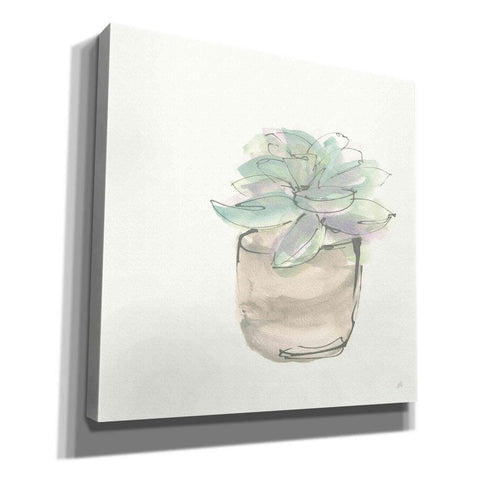 Image of 'Succulent IV' by Chris Paschke, Giclee Canvas Wall Art