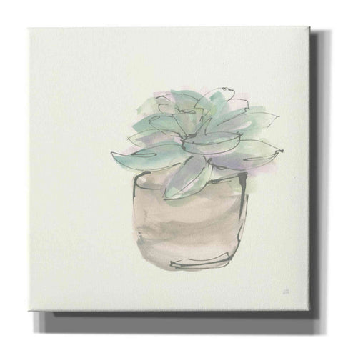 Image of 'Succulent IV' by Chris Paschke, Giclee Canvas Wall Art