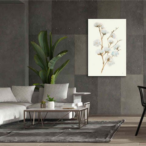 Image of 'Summer Cotton I' by Chris Paschke, Giclee Canvas Wall Art,40 x 60
