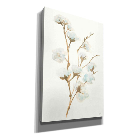 Image of 'Summer Cotton I' by Chris Paschke, Giclee Canvas Wall Art