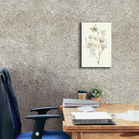 Image of 'Summer Cotton II' by Chris Paschke, Giclee Canvas Wall Art,12 x 18