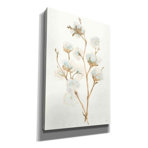 Image of 'Summer Cotton II' by Chris Paschke, Giclee Canvas Wall Art