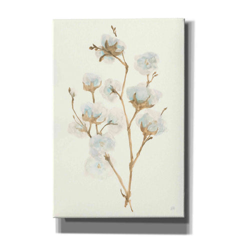Image of 'Summer Cotton II' by Chris Paschke, Giclee Canvas Wall Art