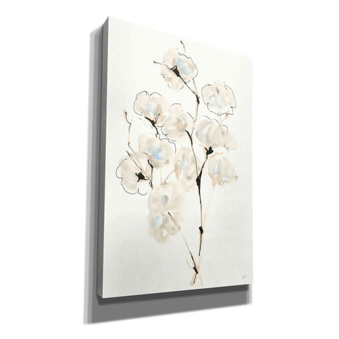Image of 'Summer Cotton IV' by Chris Paschke, Giclee Canvas Wall Art